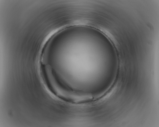 X0000114420941200910161225