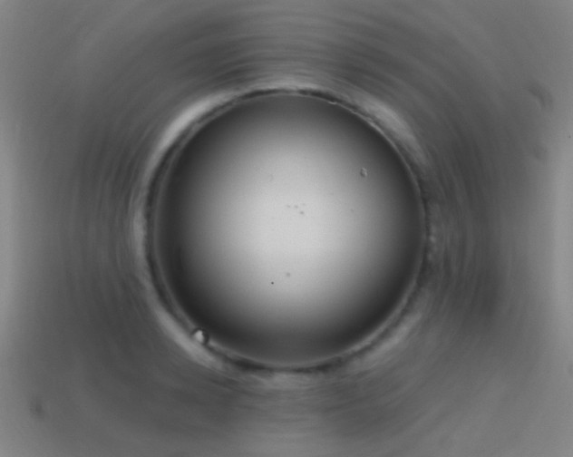 X0000114420942200910161225