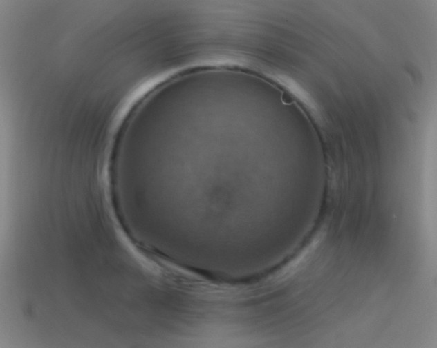 X0000114420943200910161225