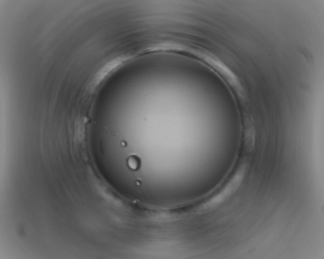 X0000114420945200910161225