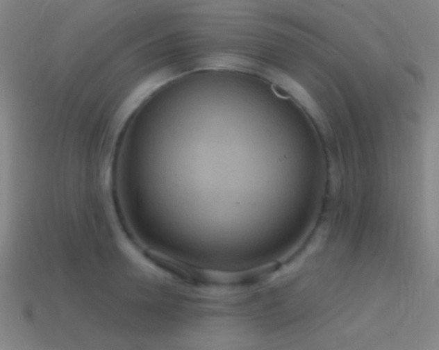 X0000114420946200910161225