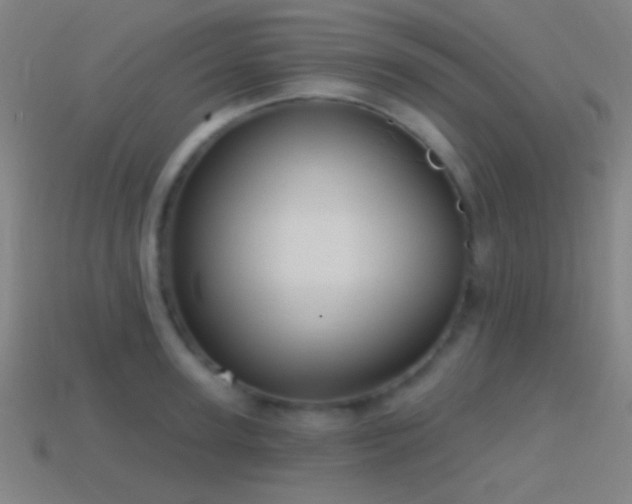 X0000114420947200910161225