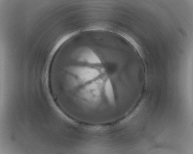 X0000114420949200910161225