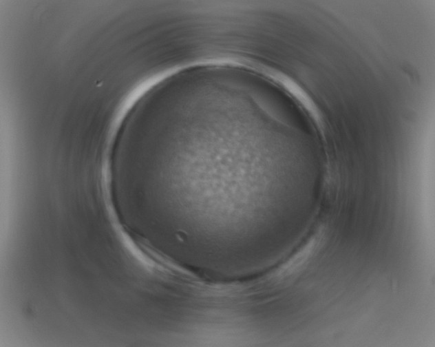 X0000114420951200910161225