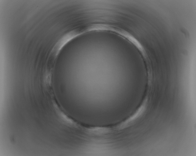 X0000114420953200910161225