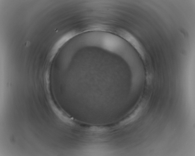 X0000114420954200910161225