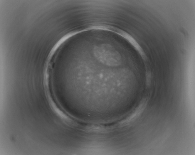 X0000114420955200910161225