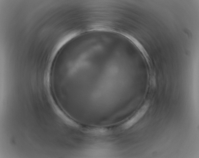 X0000114420957200910161225
