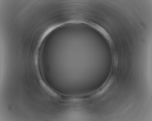 X0000114420958200910161225