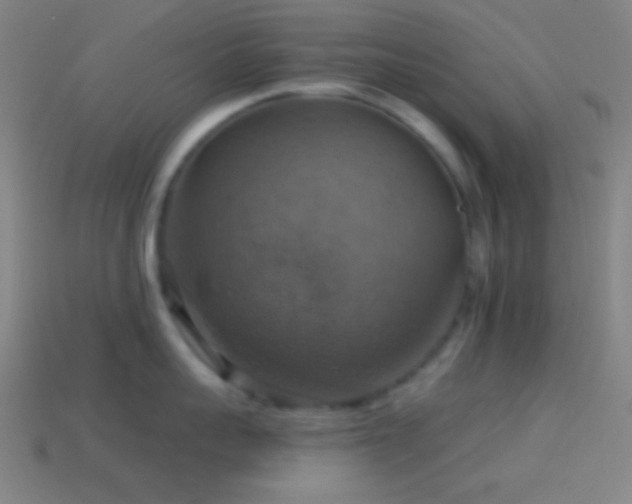 X0000114420959200910161225