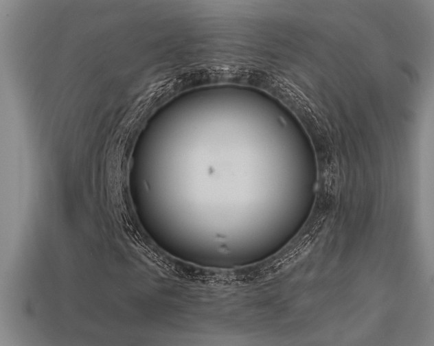X0000114420961200910161225