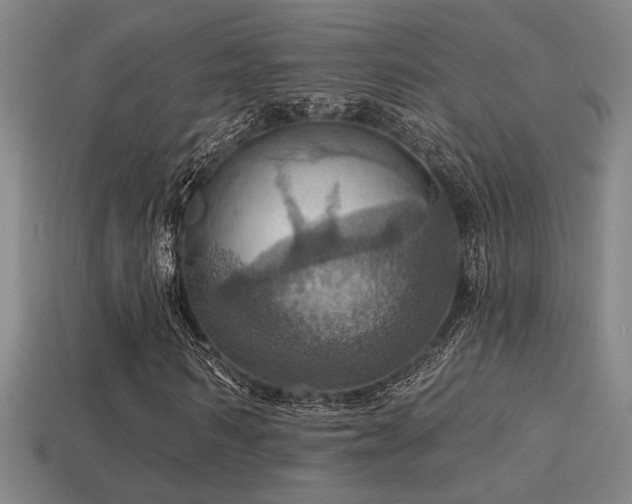 X0000114420962200910161225