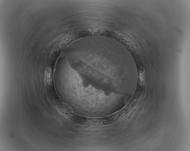 X0000114420963200910161225