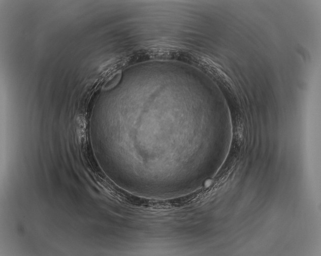 X0000114420964200910161225