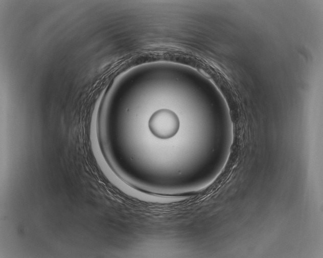X0000114420965200910161225