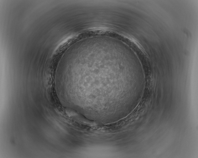X0000114420967200910161225
