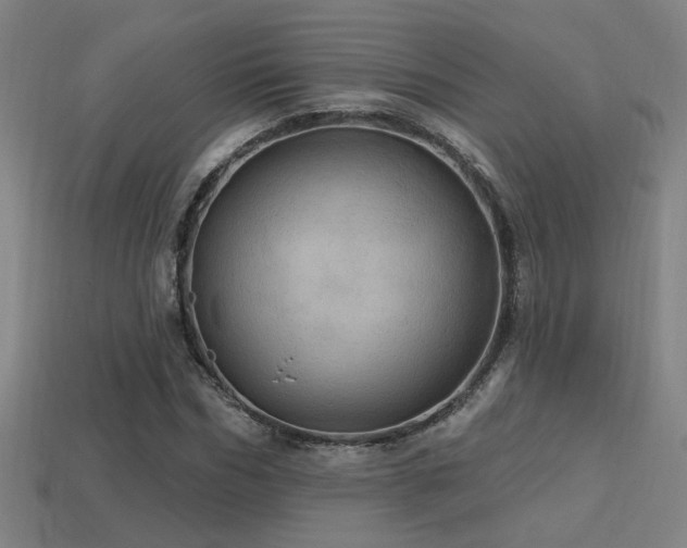 X0000114420970200910161225