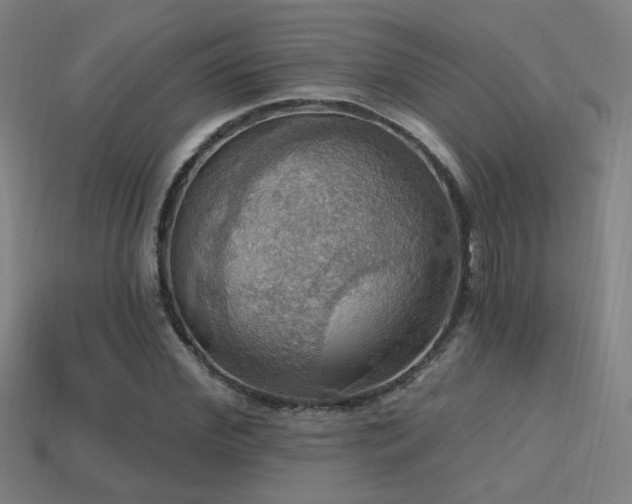 X0000114420972200910161224