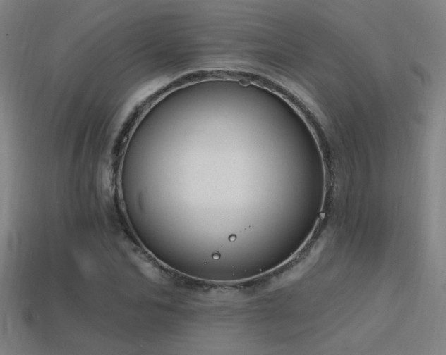 X0000114420974200910161224