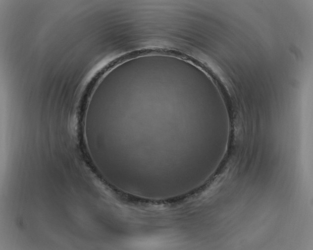 X0000114420975200910161224