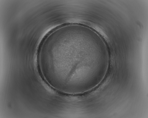 X0000114420976200910161224
