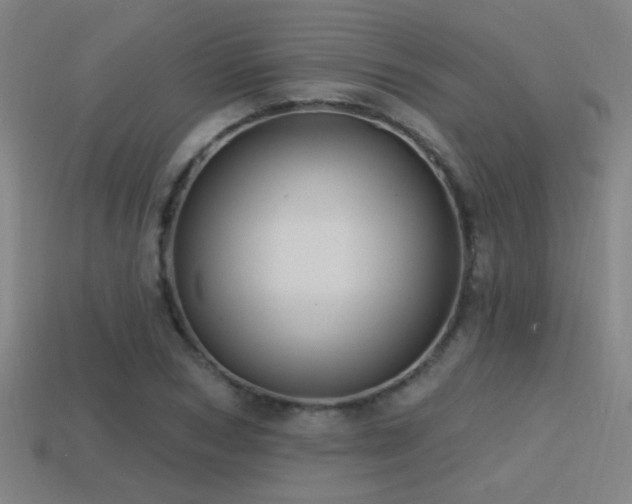 X0000114420978200910161224