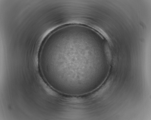 X0000114420980200910161224