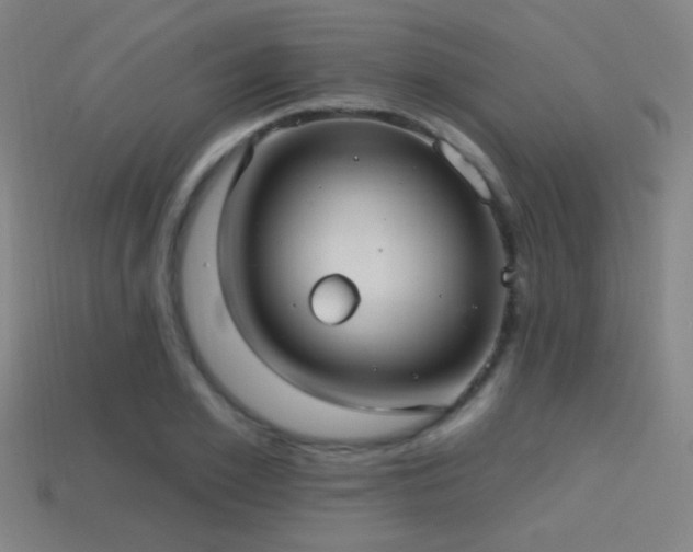 X0000114420981200910161224