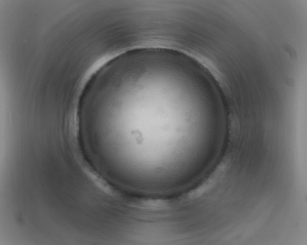X0000114420982200910161224