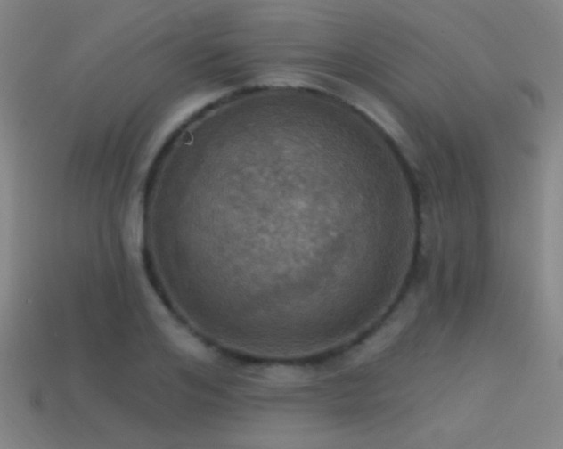 X0000114420984200910161224