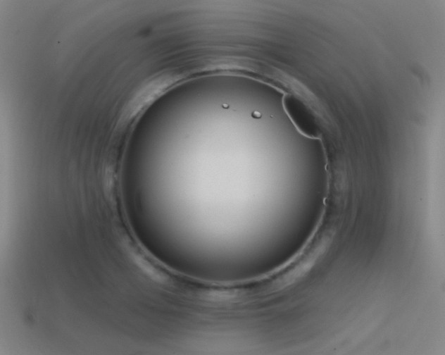 X0000114420985200910161224