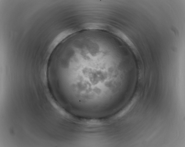 X0000114420986200910161224