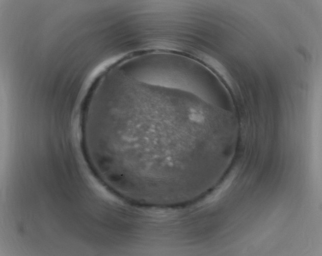 X0000114420987200910161224