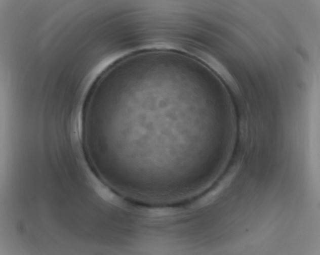 X0000114420988200910161224