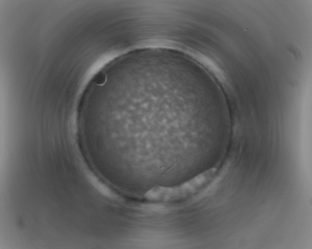 X0000114420990200910161224