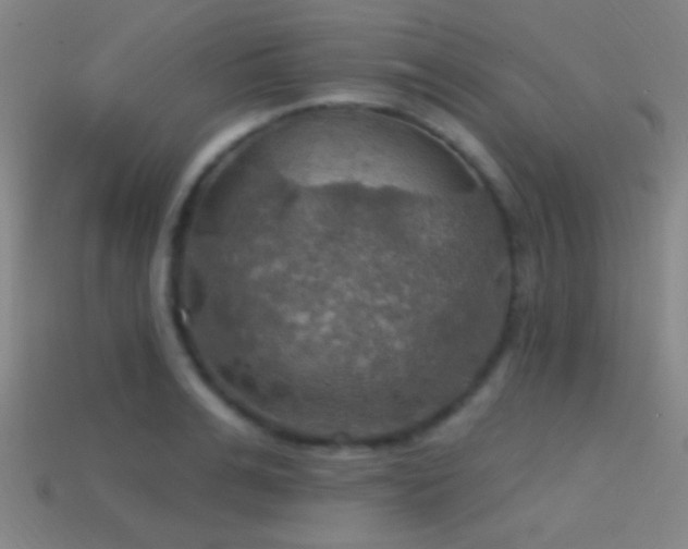 X0000114420991200910161224