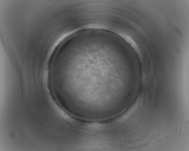 X0000114420992200910161224