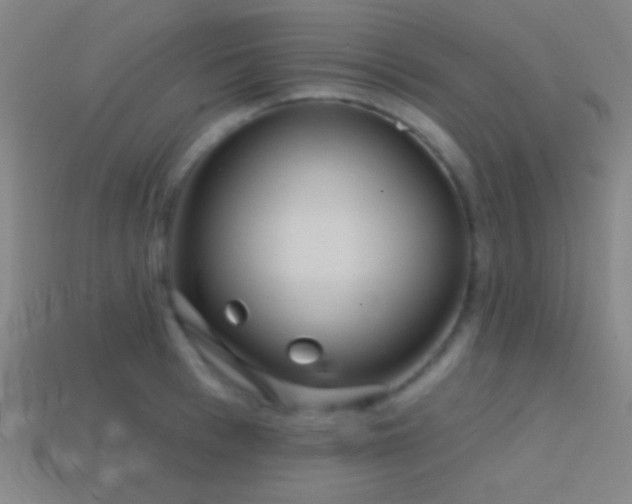 X0000114420993200910161224