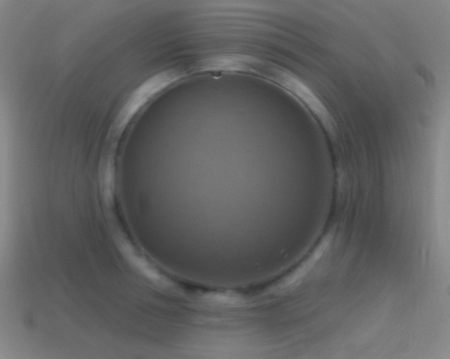 X0000114420994200910161224