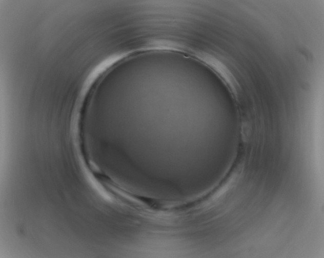 X0000114420995200910161224