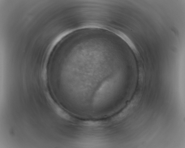 X0000114420996200910161224
