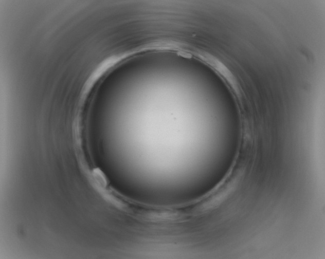 X0000114420997200910161224