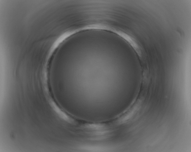 X0000114420998200910161224