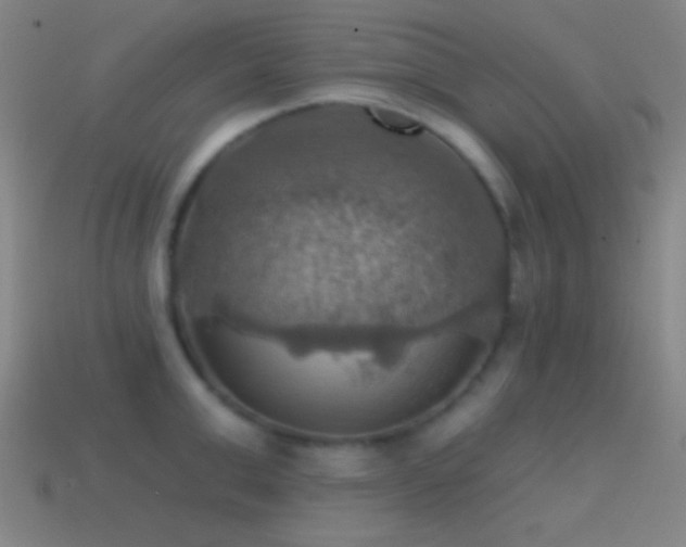 X0000114420999200910161224