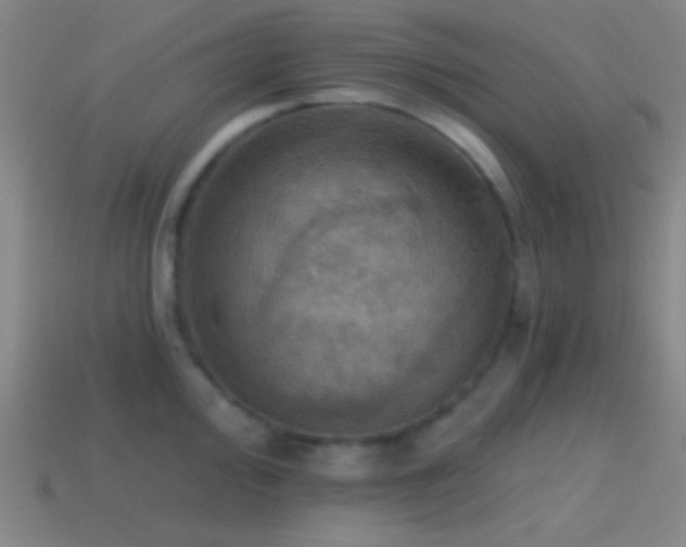 X0000114421000200910161224