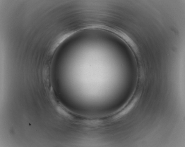X0000114421001200910161224