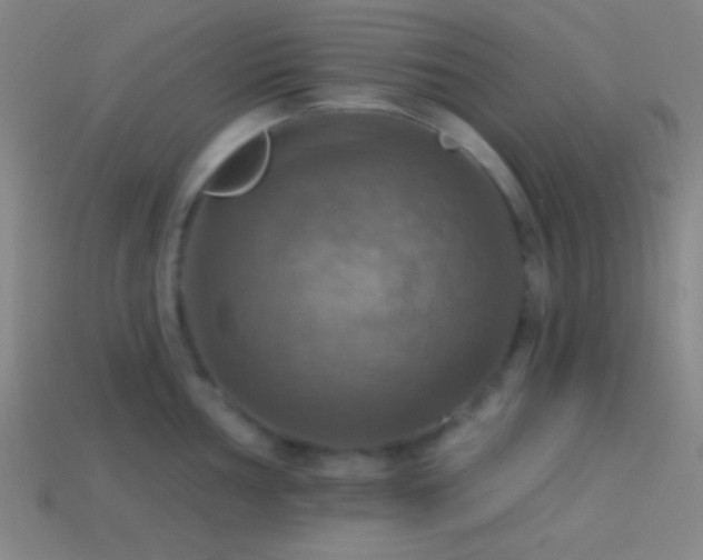 X0000114421002200910161224