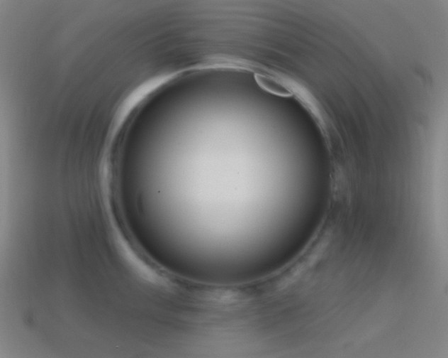 X0000114421003200910161224