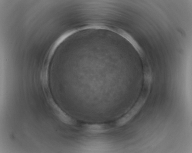 X0000114421004200910161224