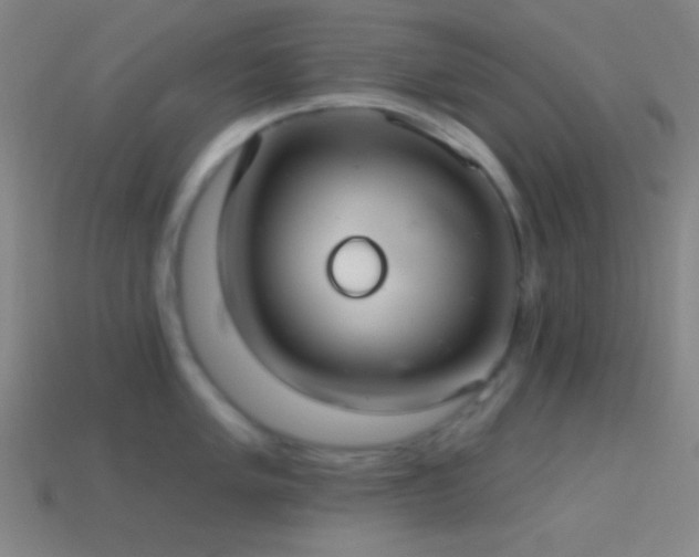 X0000114421005200910161224